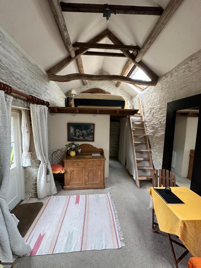 Quirky Tiny In Moors